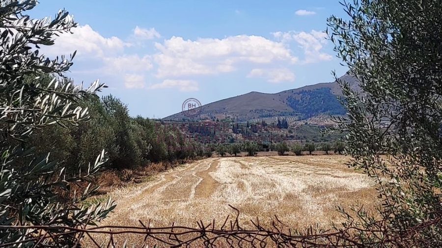 (Προς Πώληση) Αξιοποιήσιμη Γη Οικόπεδο || Ν. Κορινθίας/Κόρινθος - 50.000 τ.μ, 