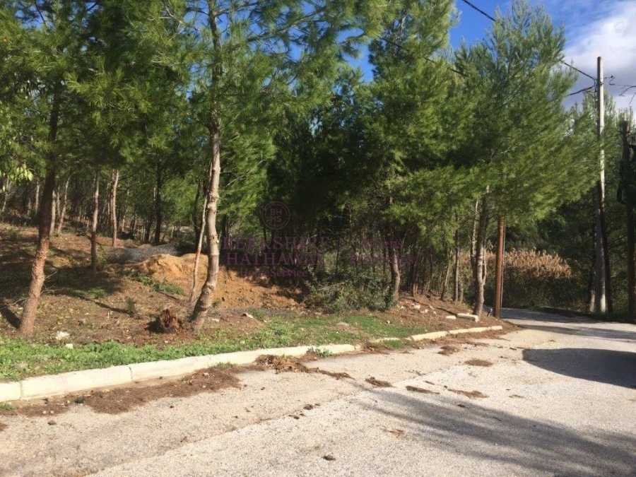 (For Sale) Land Plot || Athens North/Nea Penteli - 935 Sq.m, 320.000€ 