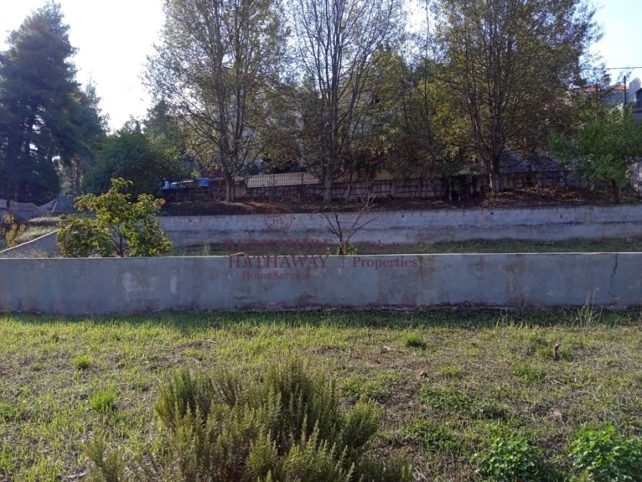 (Προς Πώληση) Αξιοποιήσιμη Γη Οικόπεδο || Ανατολική Αττική/Άνοιξη - 4.020 τ.μ, 700.000€ 