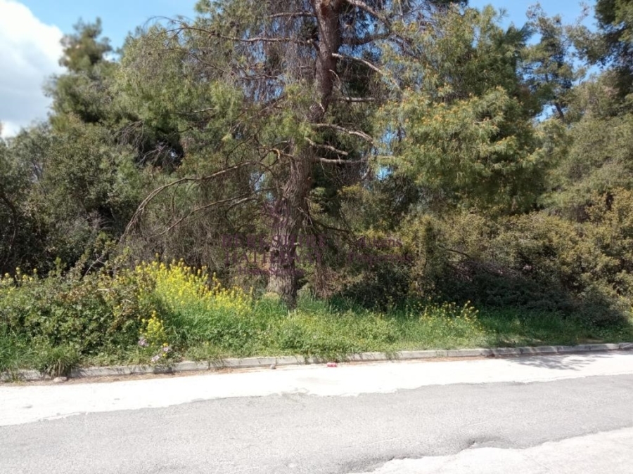 (Προς Πώληση) Αξιοποιήσιμη Γη Αγροτεμάχιο || Αθήνα Βόρεια/Εκάλη - 2.200 τ.μ 