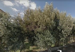 (Προς Πώληση) Αξιοποιήσιμη Γη Οικόπεδο || Αθήνα Βόρεια/Πεντέλη - 500 τ.μ, 220.000€ 