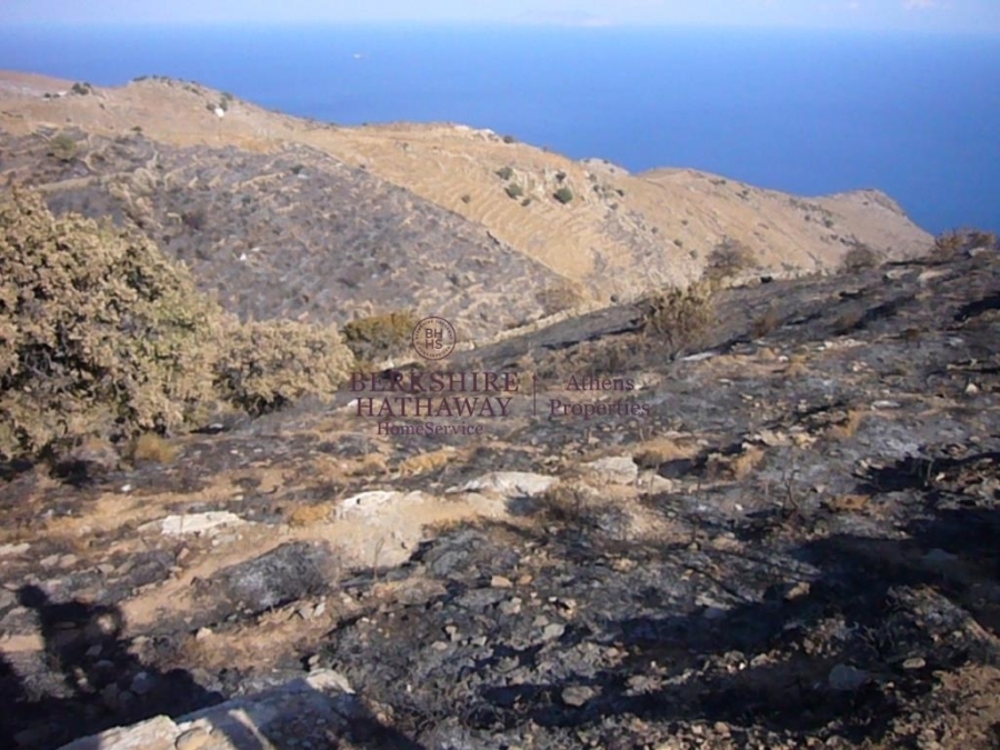 (For Sale) Land Plot || Cyclades/Kea-Tzia - 19.600 Sq.m, 300.000€ 