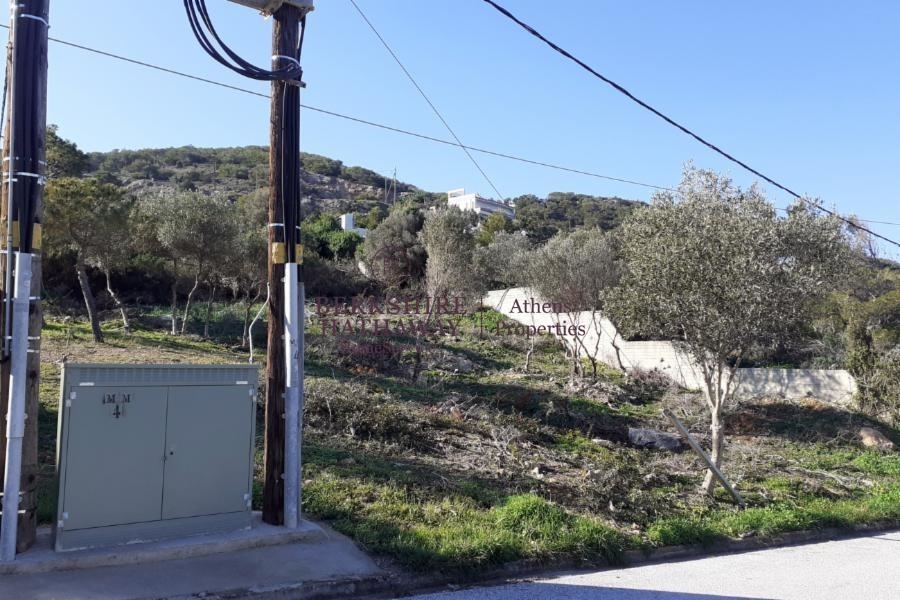 (Προς Πώληση) Αξιοποιήσιμη Γη Οικόπεδο || Ανατολική Αττική/Μαρκόπουλο Μεσογαίας - 1.236 τ.μ, 370.000€ 