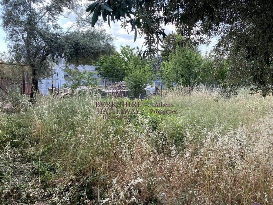 (Προς Πώληση) Αξιοποιήσιμη Γη Οικόπεδο || Ανατολική Αττική/Γέρακας - 183 τ.μ, 80.000€ 
