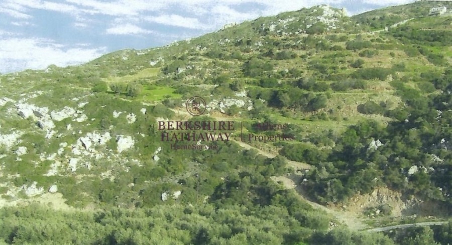 (For Sale) Land Plot || Lasithi/Siteia - 36.000 Sq.m, 1.150.000€ 