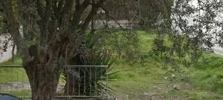 (Προς Πώληση) Αξιοποιήσιμη Γη Οικόπεδο || Αθήνα Βόρεια/Χολαργός - 400 τ.μ, 630.000€ 