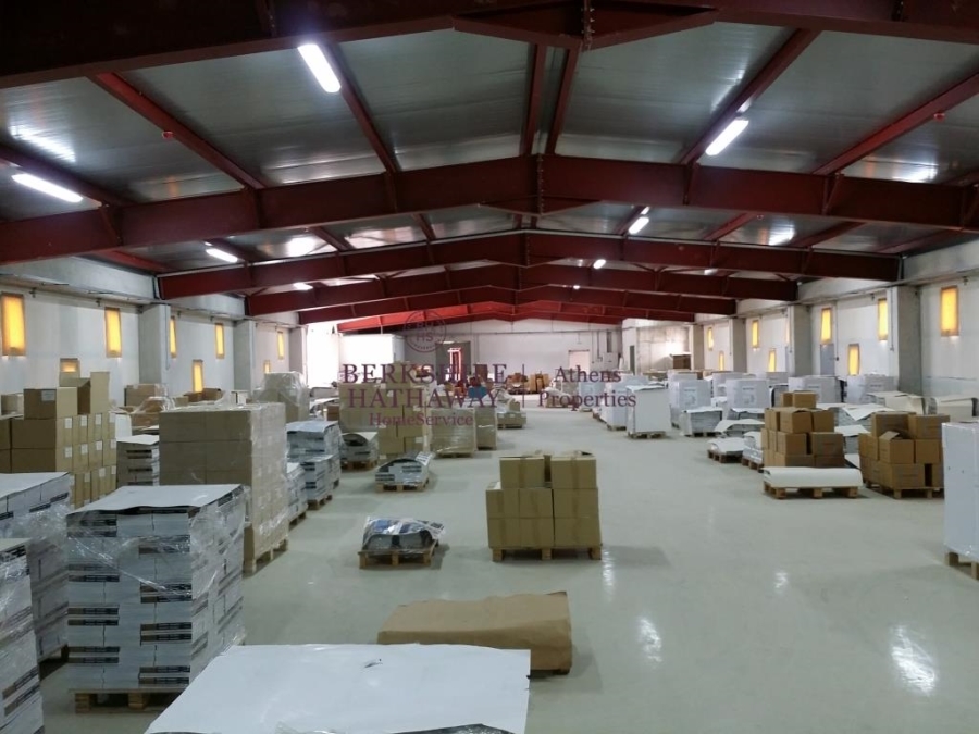(For Sale) Commercial Industrial Area || East Attica/Koropi - 5.539 Sq.m, 5.000.000€ 
