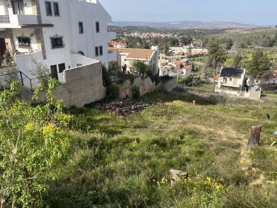(Προς Πώληση) Αξιοποιήσιμη Γη Οικόπεδο || Ανατολική Αττική/Διόνυσος - 815 τ.μ, 185.000€ 