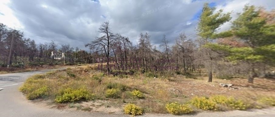 (Προς Πώληση) Αξιοποιήσιμη Γη Οικόπεδο || Ανατολική Αττική/Αφίδνες (Κιούρκα) - 2.000 τ.μ, 110.000€ 