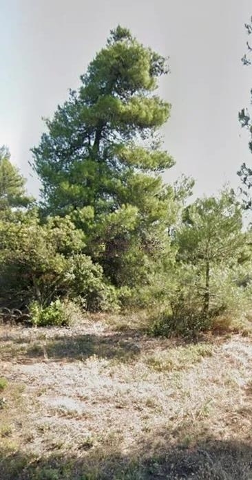 (Προς Πώληση) Αξιοποιήσιμη Γη || Ανατολική Αττική/Αφίδνες (Κιούρκα) - 1.012 τ.μ, 69.000€ 