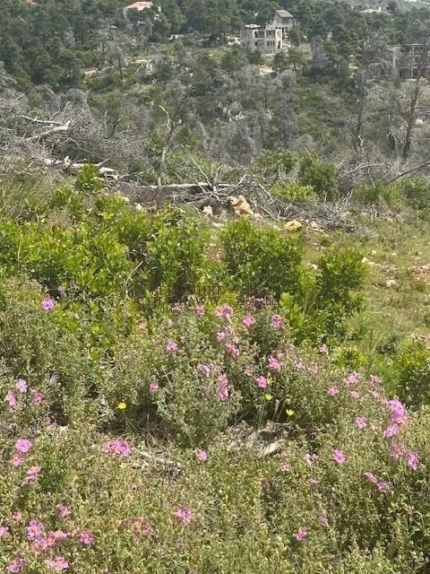 (Προς Πώληση) Αξιοποιήσιμη Γη Οικόπεδο || Ανατολική Αττική/Αφίδνες (Κιούρκα) - 1.037 τ.μ, 100.000€ 