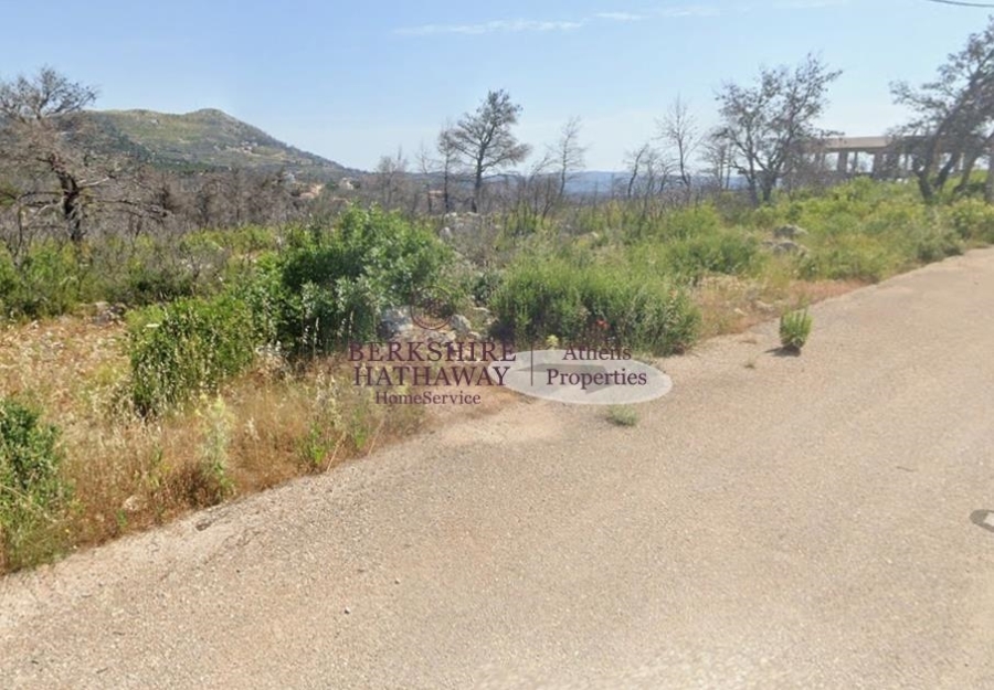 (Προς Πώληση) Αξιοποιήσιμη Γη Οικόπεδο || Ανατολική Αττική/Αφίδνες (Κιούρκα) - 1.019 τ.μ, 100.000€ 