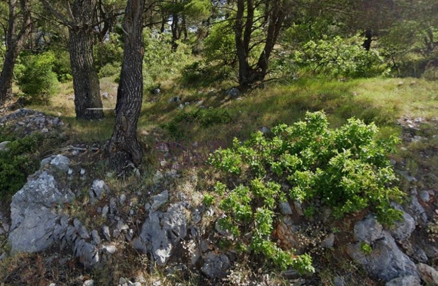 (Προς Πώληση) Αξιοποιήσιμη Γη Οικόπεδο || Ανατολική Αττική/Αφίδνες (Κιούρκα) - 1.043 τ.μ, 62.500€ 