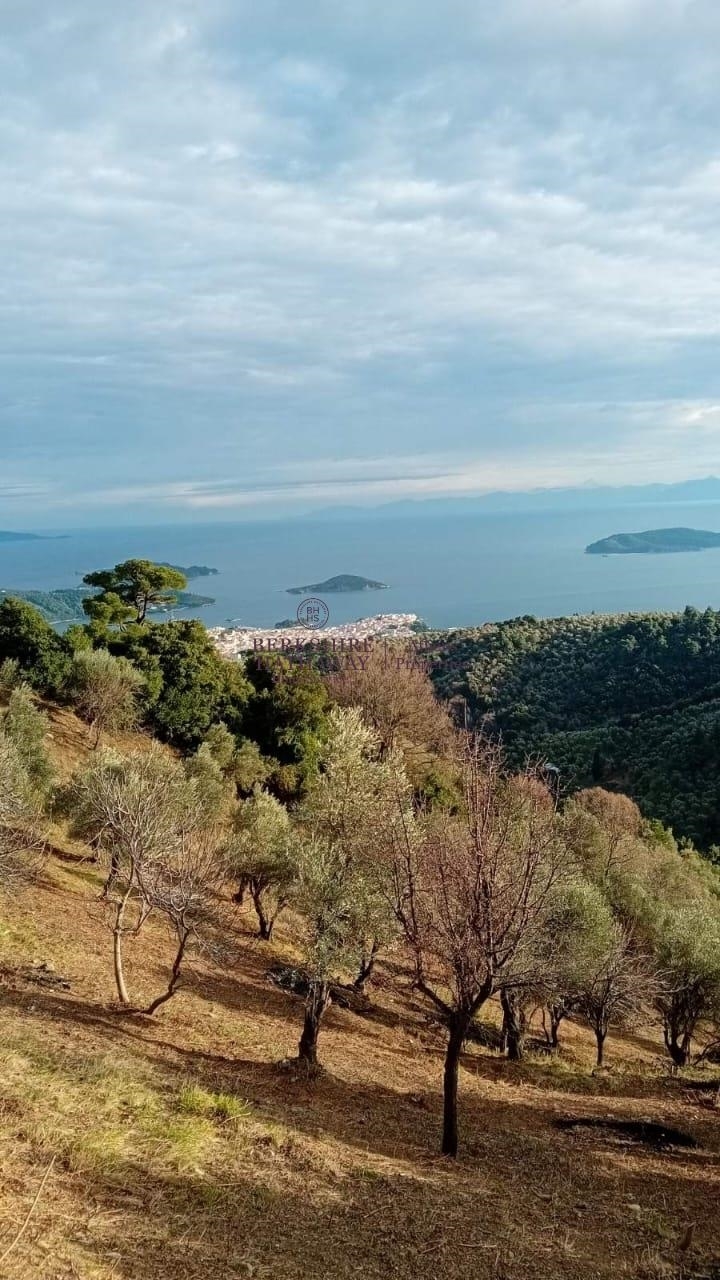 (Προς Πώληση) Αξιοποιήσιμη Γη Αγροτεμάχιο || Ν. Μαγνησίας/Σποράδες-Σκιάθος - 8.000 τ.μ, 350.000€ 