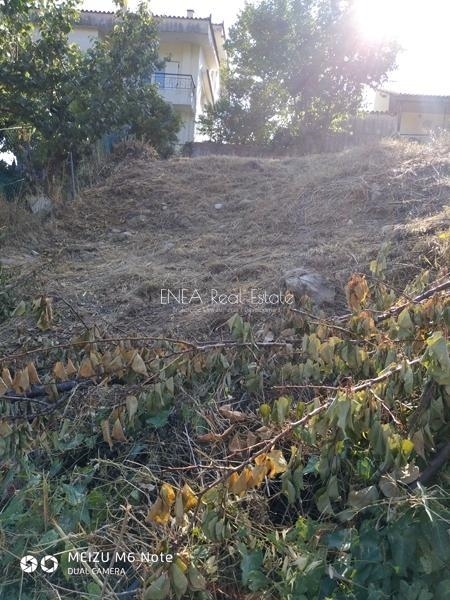 (Προς Πώληση) Αξιοποιήσιμη Γη Αγροτεμάχιο || Ανατολική Αττική/Ανθούσα - 200 τ.μ, 40.000€ 