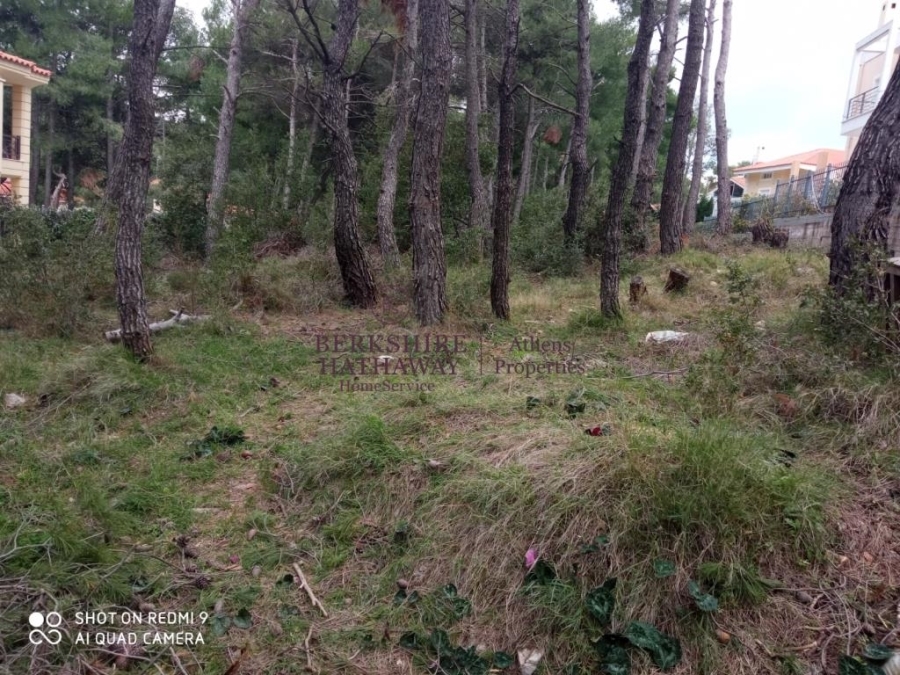 Land Plot || East Attica/Dionysos - 800 Sq.m, 290.000€ 